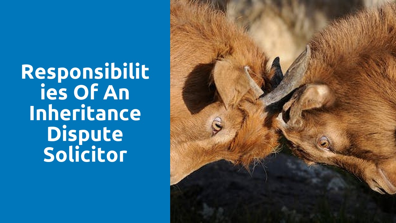 Responsibilities of an Inheritance Dispute Solicitor