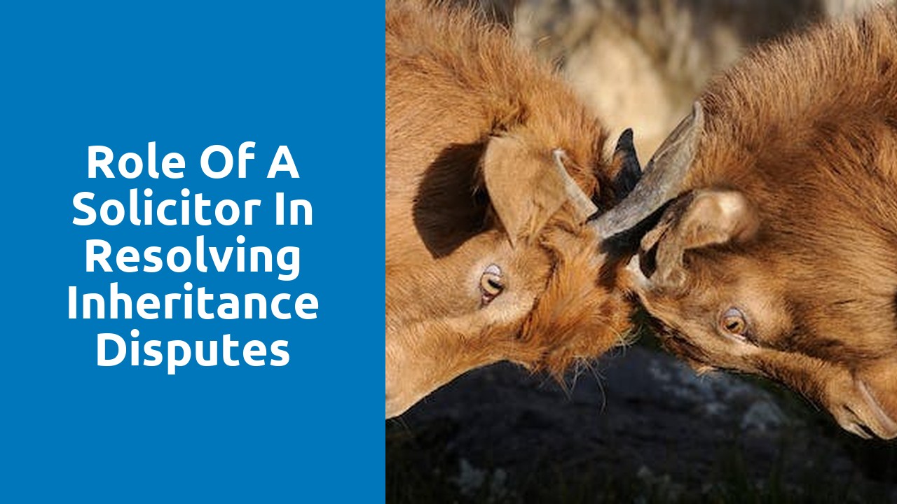 Role of a Solicitor in Resolving Inheritance Disputes