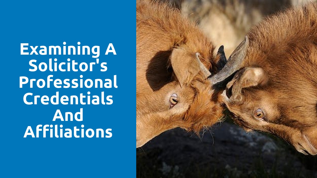 Examining a solicitor's professional credentials and affiliations