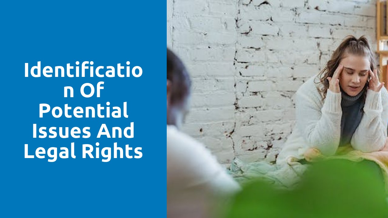 Identification of potential issues and legal rights