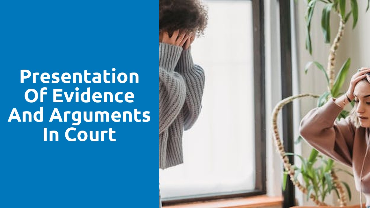 Presentation of evidence and arguments in court