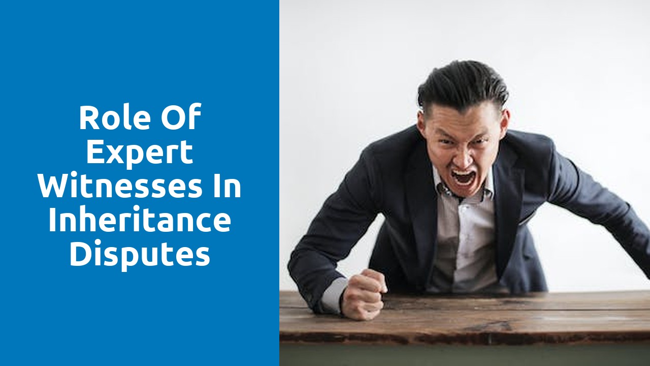 Role of expert witnesses in inheritance disputes