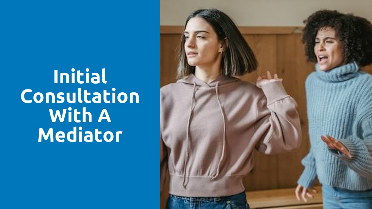 Initial consultation with a mediator